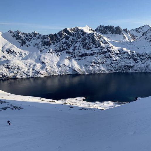 PD Dr. med. Roman Hari