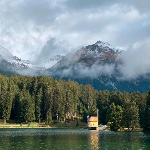 Dr. med. Rahel Küffer