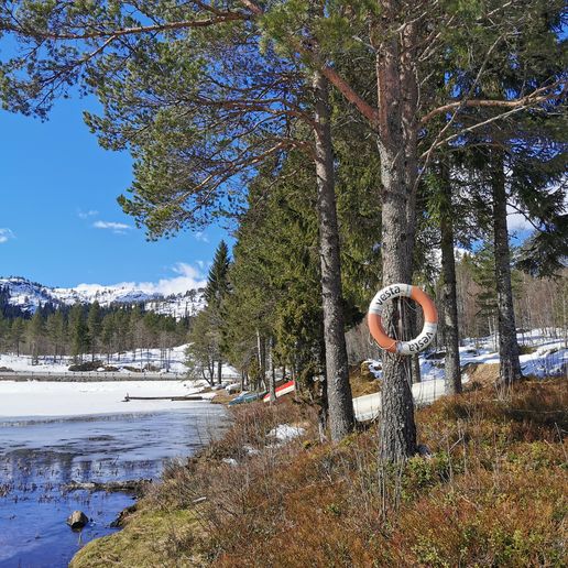 Dr. med Simea Kramer