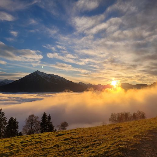 Dr. med. Ruth Greber