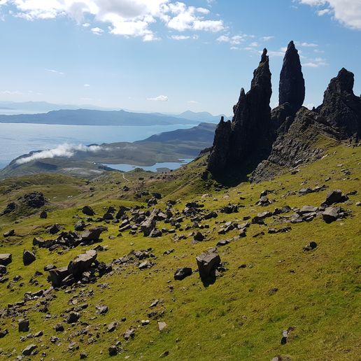 Dr. med. Sophia Heck